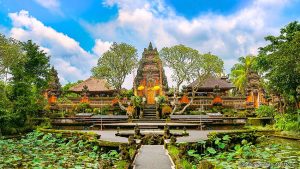 ubud-transport-area