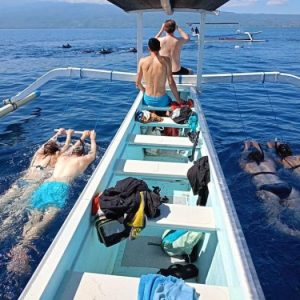 Private boat + Swim with dolphin + Reef snorkling