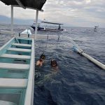 lovina dolphin tour