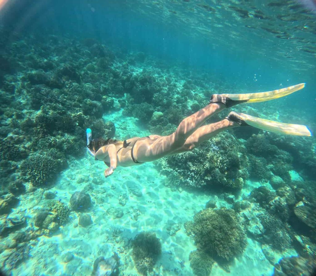 Tourist are snorkeling at menjangan island