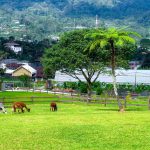 bali farm house