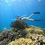 Tourist are snorkeling at menjangan island