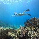 Tourist are snorkeling at menjangan island