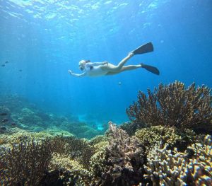Tourist are snorkeling at menjangan island