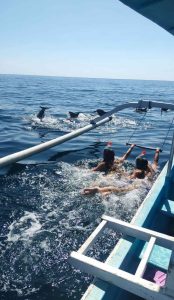 WhatsApp-Image-2025-07-10-at-20.33.22-1 lovina dolphin tour pick up tejakula area
