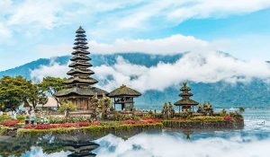 available north bali tour service